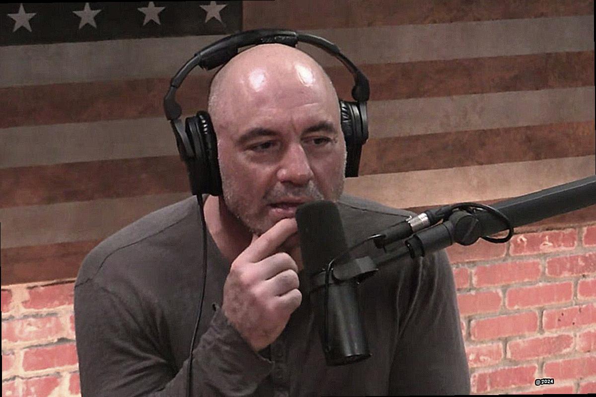 Joe Rogan's Wealth - How the Podcast Star Built His Empire-2